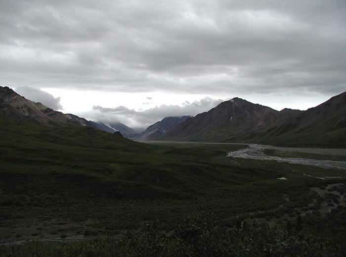 Denali Park