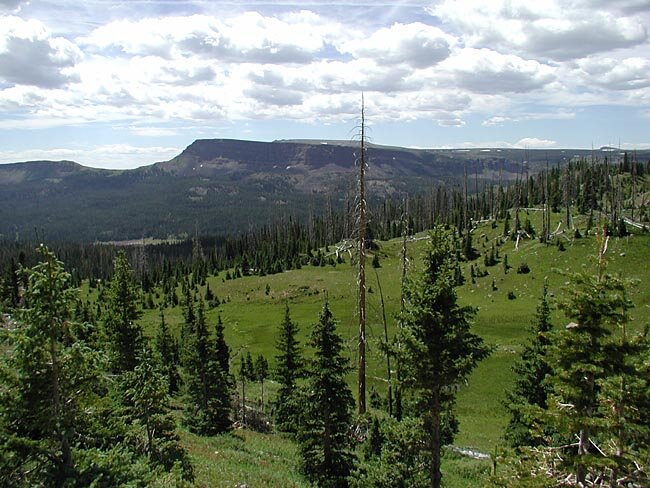 Above Little Causeway Lake