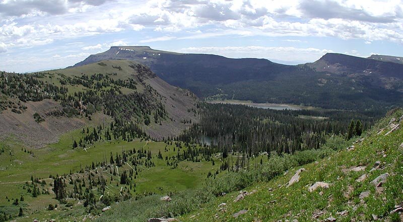 Flat Tops View