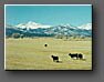 Southern Colorado Farm Country