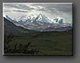 Denali National Park