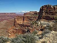 Neck Spring Trail 1