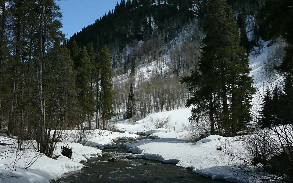 Photo of The Week