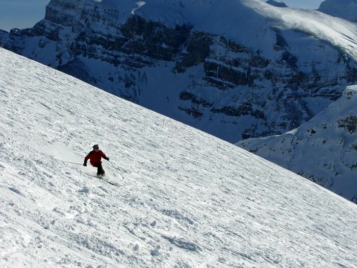 Photo of The Week