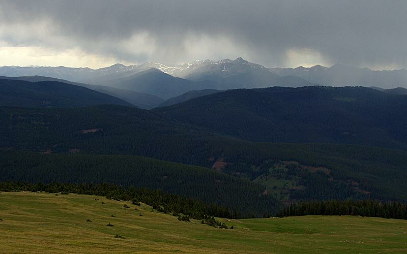 Photo of The Week