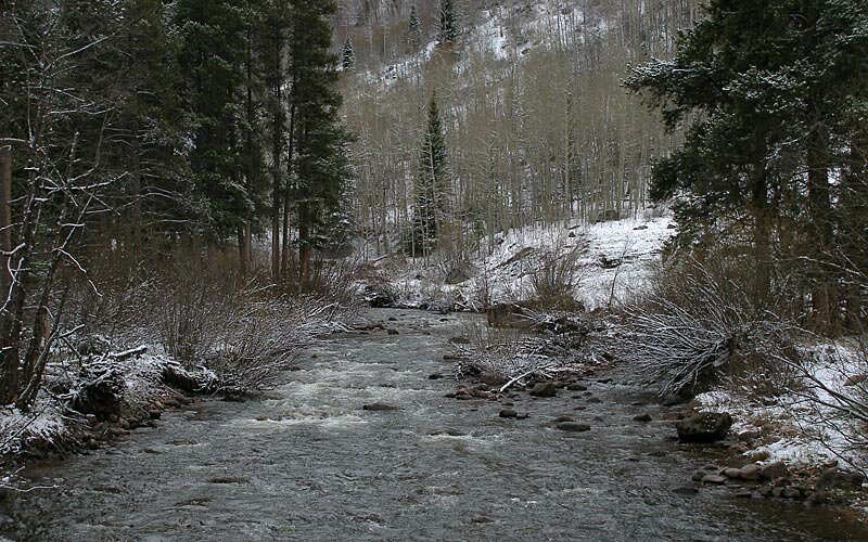 Photo of The Week