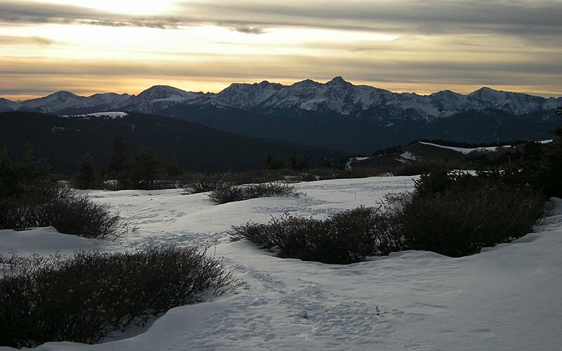 Photo of The Week