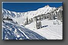 Kicking Horse